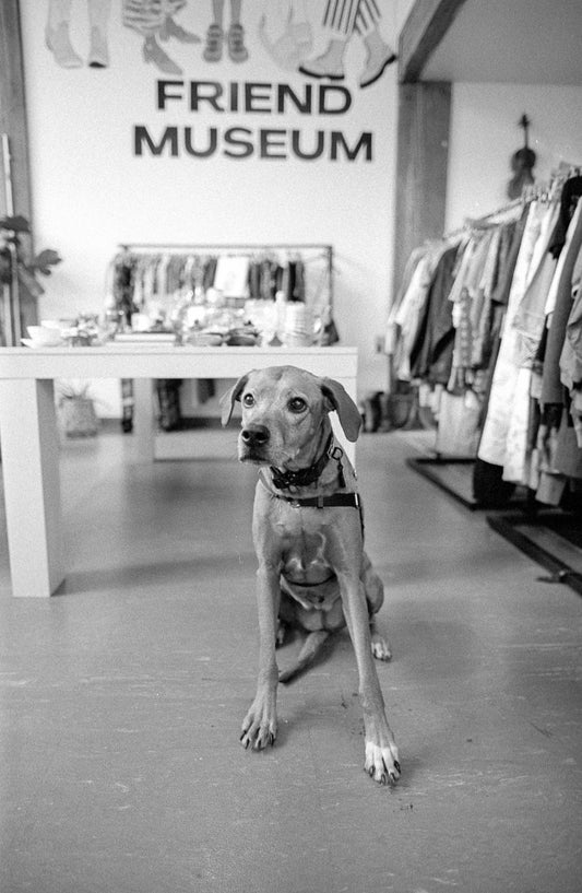 B&W Photography Workshop @ Friend Museum