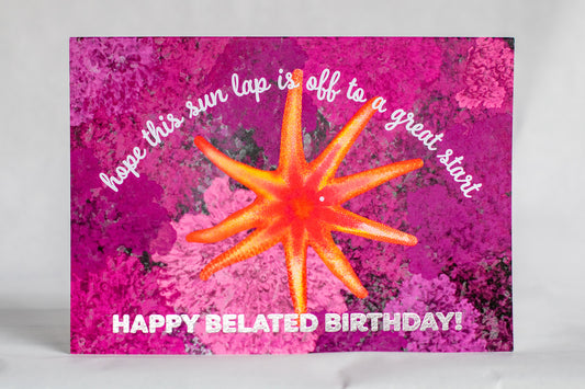 happy belated birthday sun star card | punny foiled greeting card