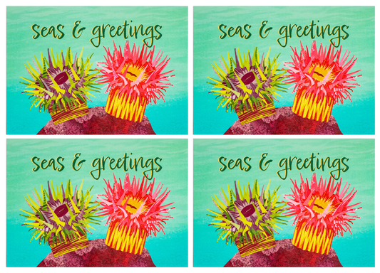 multi-pack seas & greetings Christmas anemone punny ocean holiday greeting cards (4, 8 or 12)